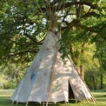 tipi